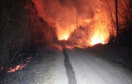 Samsun'da Korkutan Yangınlar