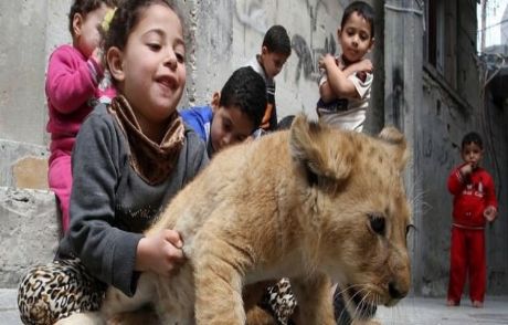 Gazzeli Adamın 'aslan' Sevgisi
