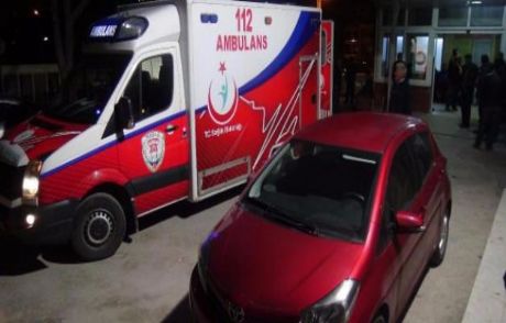 İzmir'de Domuz Gribi Paniği