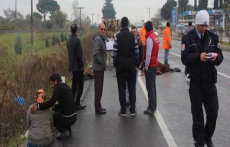 Kamyonetin Çarptığı At Telef Oldu