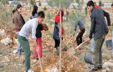 Avrupa'dan Türkiye'ye Ağaçlandırma Övgüsü