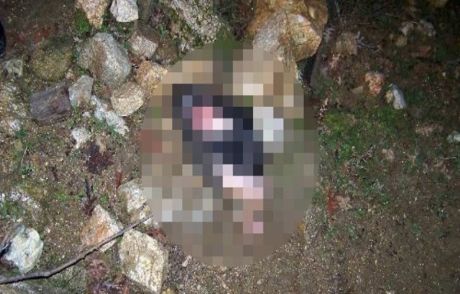 Bingöl'de Kan Donduran Vahşet!