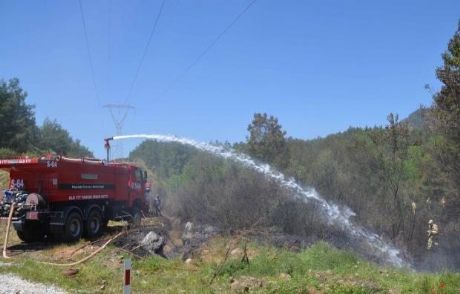 Köyceğiz'de Orman Yangın