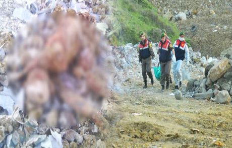 Hafriyat Sahasında Ceset Bulundu