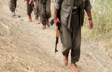 Pkk 4 Kız Çocuğunu Kaçırdı