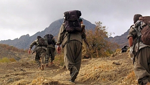 Asker Katili ve Kaymakam Suikastçisi Terörist Yakalandı