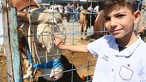 Bağcılar’da Kurban Bayramı Bereketi
