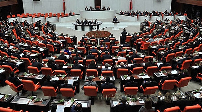 Referandum Tezkeresindeki Bu İfadeler Dikkat Çekti