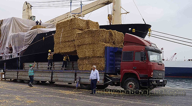 Bulgaristan'dan Saman Geldi