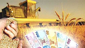 Çiftçilere Destek Ödemesi Başlıyor