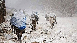 Mehmetçik, Kar Tipi Demiyor