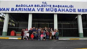 '16 Yaşında İlk Kez Köpeğe Dokundular'