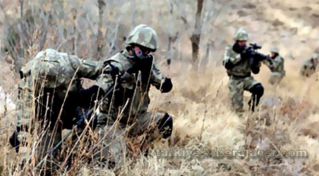 Amanos Dağı'ndaki Operasyonda 2 PKK'lı Öldürüldü