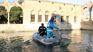 Balıklıgöl'de Alyans Alarmı