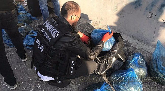Boş Arazide 50 kg Esrar Ele Geçirildi!