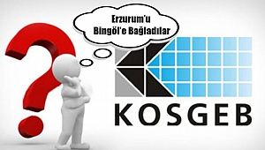 Erzurum KOSGEB'i Bingöl KOSGEB'e Vekâleten Bağladılar