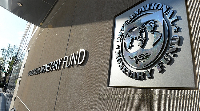 IMF'den Flaş Türkiye Açıklaması