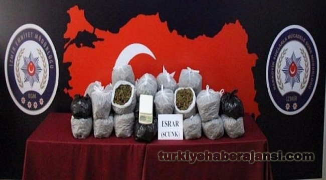 İzmir'de 33 Kilo Esrar Ele Geçirildi