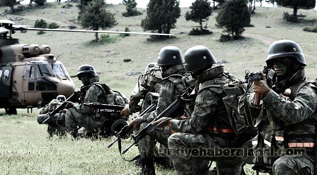 Tunceli'de JÖH ve PÖH Timlerinden Ortak Operasyon