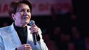 Akşener'in Uçağında 'Vazgeçen Yolcu' Tedirginliği