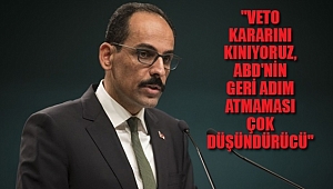 Birleşmiş Milletler'in Veto Kararına Kınama