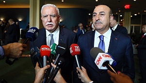 Çavuşoğlu ve Maliki'den Oylama Hakkında İlk Yorum