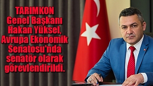 Avrupa Ekonomik Senatosu'nda Bir Türk