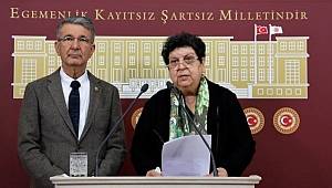 Sarıhan, OHAL'de Adil Yargılanma Hakları İhlal Edildi