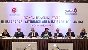 Uluslararası Yatırımcılarla İstişare Toplantısı