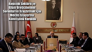 Bağcılık Sektörü ve Üzüm Üreticilerinin Sorunları TBMM'de