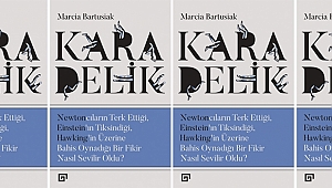 Kara Delik: ... Bir Fikir Nasıl Sevilir Oldu?
