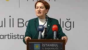 Akşener'den Bahçeli'nin Erken Seçim Çağrısına Yanıt