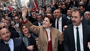 Akşener'den Gül Yorumu: Büyük Mutluluk Duyarım