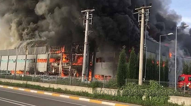 Sakarya'da Mobilya Fabrikası Yangında Küle Döndü