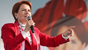 Meral Akşener'den Flaş Dolar Açıklaması