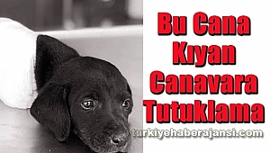 Bu Cana Kıyan Canavar Tutuklandı