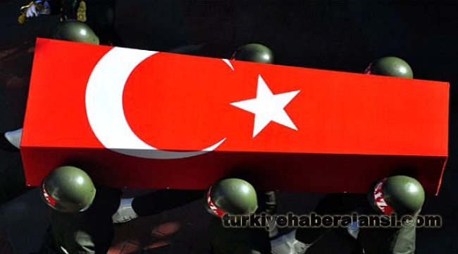 Hakkari'de Hain Saldırı: 3 Şehit