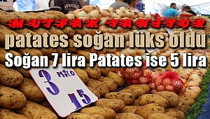 Patates, Soğan Kese Yakıyor! Soğan 7 TL, Patates 5 TL...