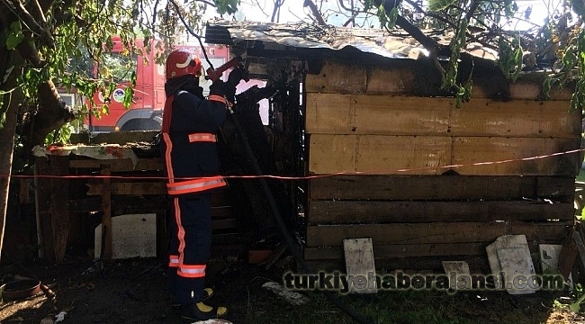 Sakarya'da 'Pire İçin Yorgan Yakmak' Atasözü Gerçek Oldu