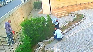 Sakarya'nın Serdivan İlçesinde Ağaç Katliamı!