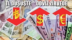TL DÜŞÜŞTE, DÖVİZ ZİRVEDE