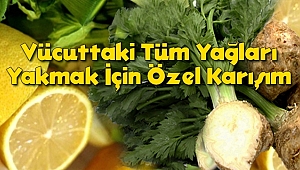 Vücuttaki Tüm Yağları Yakmak İçin Özel Karışım