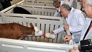 Eski Bakan'dan Yeni Bakana Olay Yaratacak Sözler!
