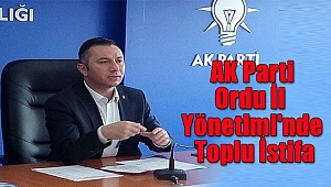 AK Parti Ordu İl Yönetimi'nde Toplu İstifa