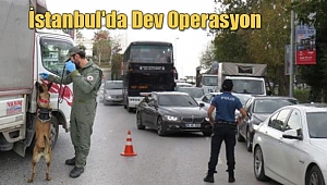 İstanbul'da Dev Asayiş Operasyonu