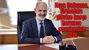 Avdagiç: 'Kısa Çalışma, firmaları dövize karşı koruma çemberine aldı’