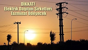 Elektrik Dağıtım Şirketleri Tazminat Ödeyecek