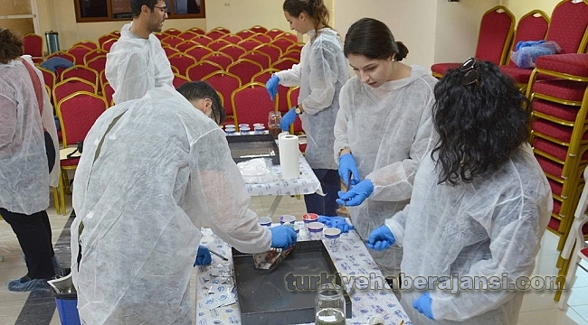 Erasmus'a Geldiler Ebru Sanatı Öğrendiler