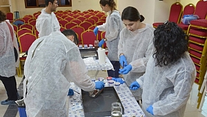 Erasmus'a Geldiler Ebru Sanatı Öğrendiler