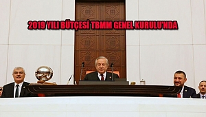 2019 Yılı Bütçesi TBMM Genel Kurulun'da